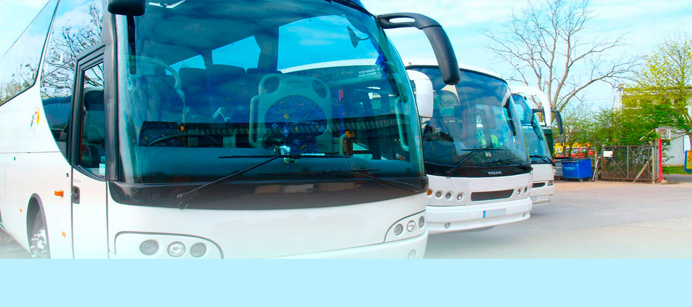 Coach Holidays to Disneyland Paris