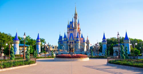 imgDesk-Walt Disney World Resort in Florida