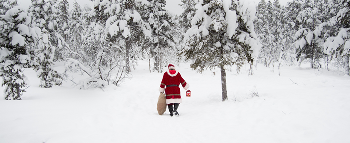 Magical Lapland Day Trips on sale for 2023